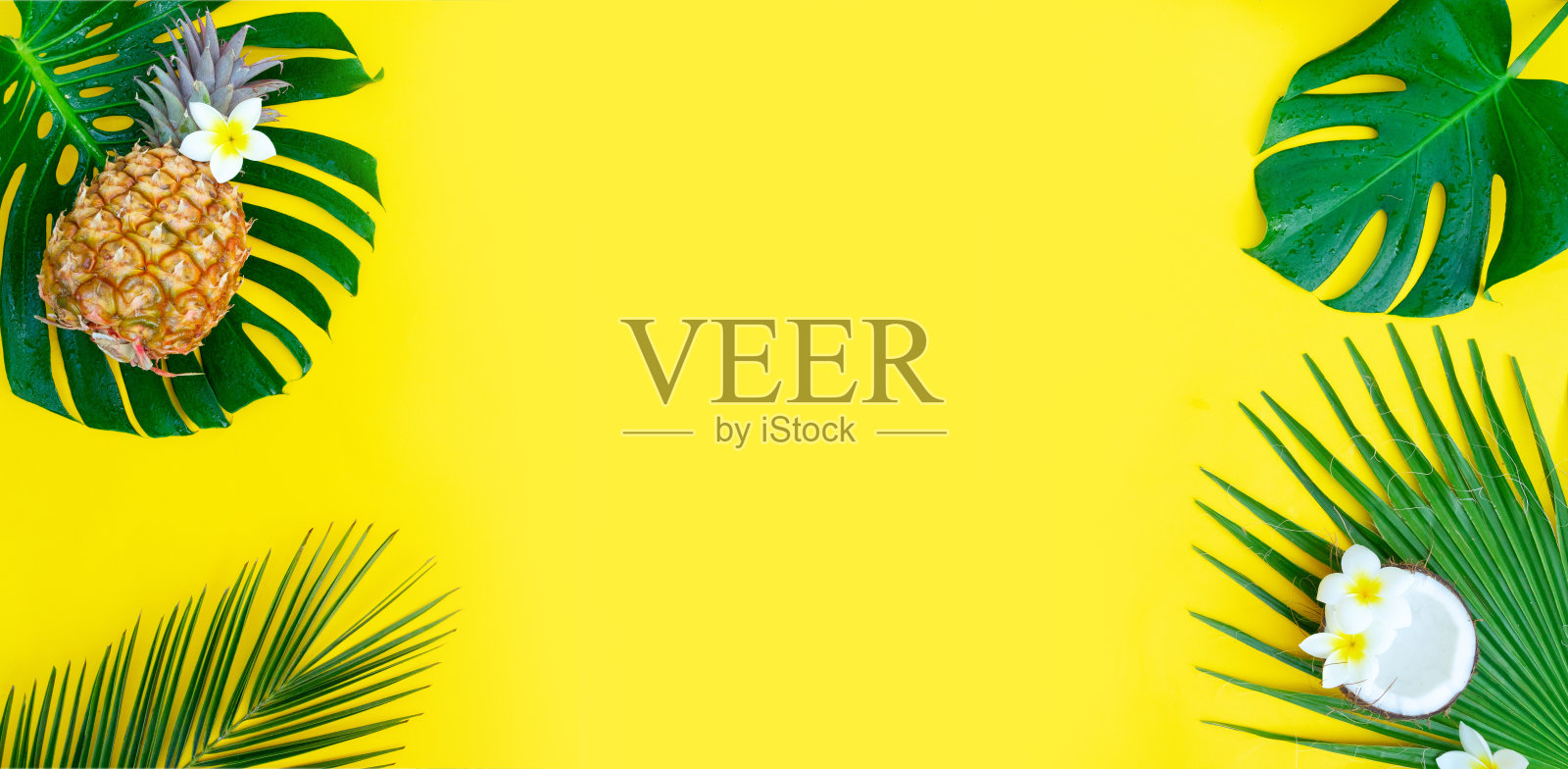 夏日平地风光照片摄影图片