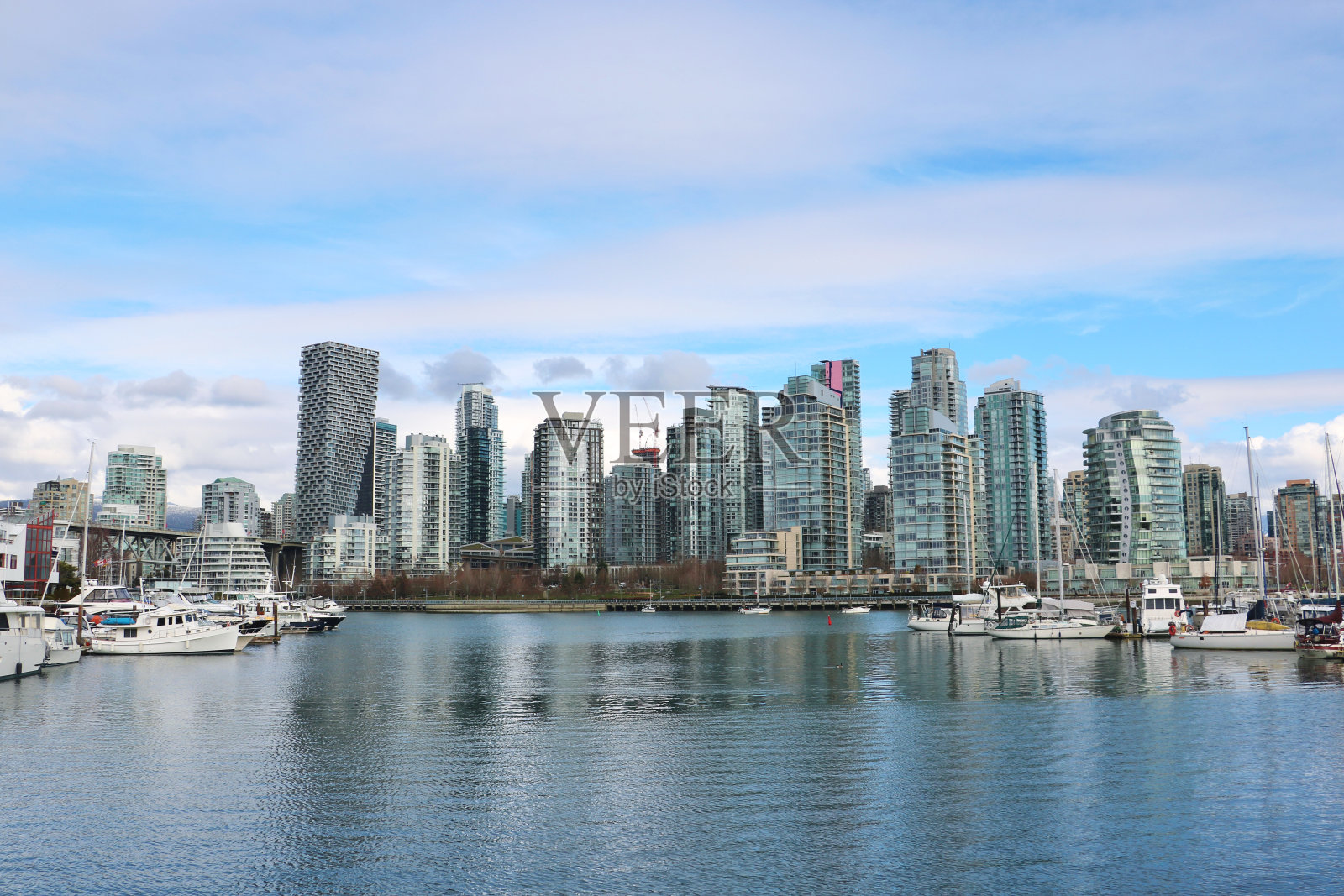 温哥华福溪的冬季景观照片摄影图片