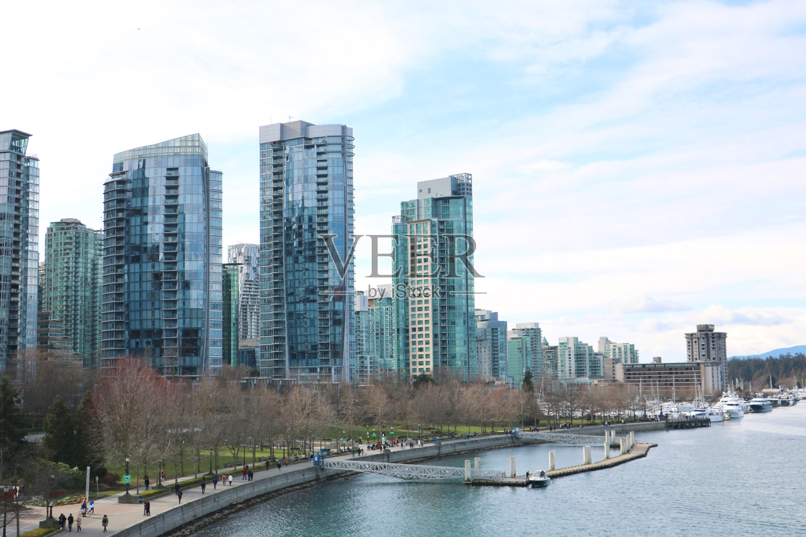 冬天的温哥华港照片摄影图片