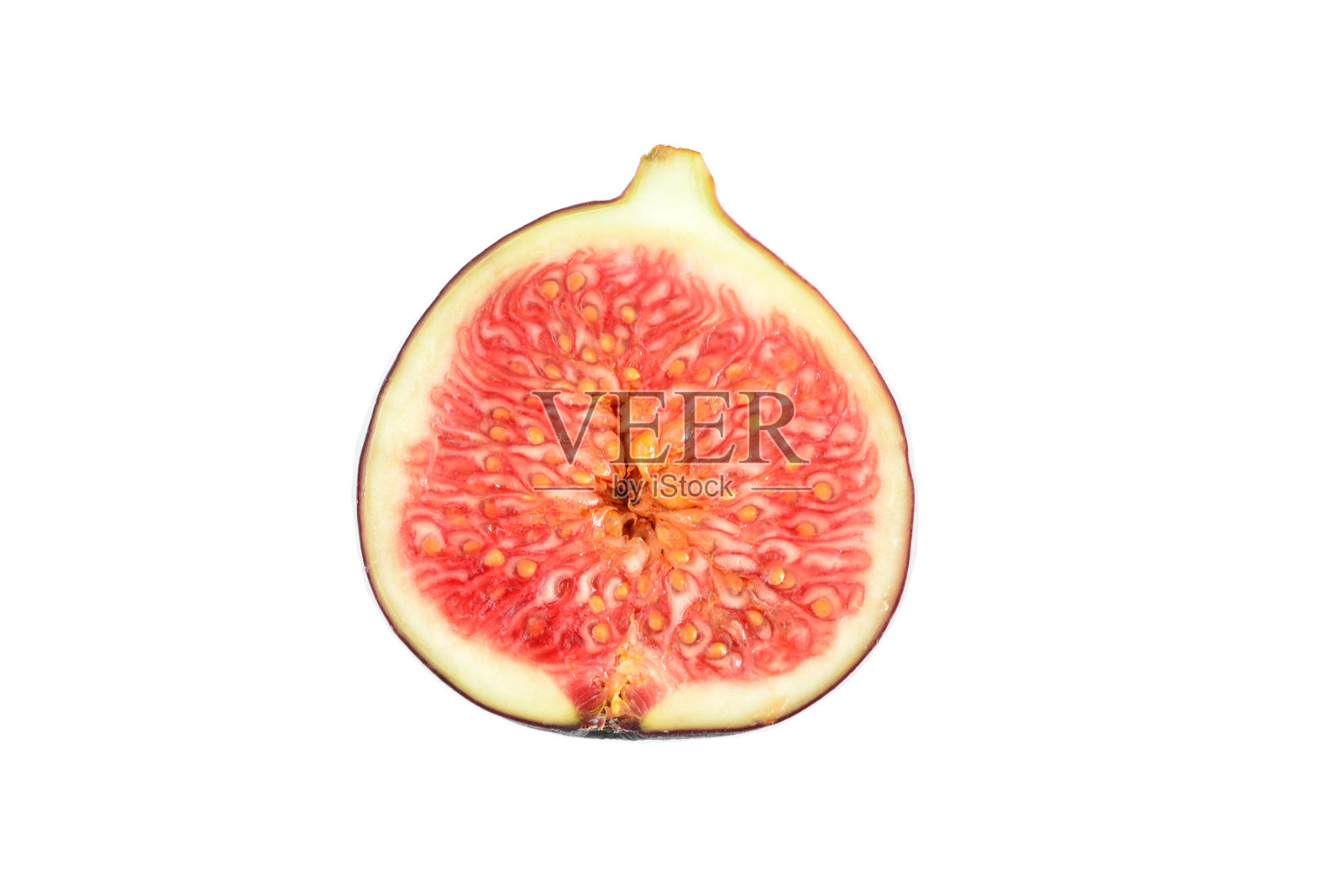 半FIG孤立在白色背景近照片摄影图片