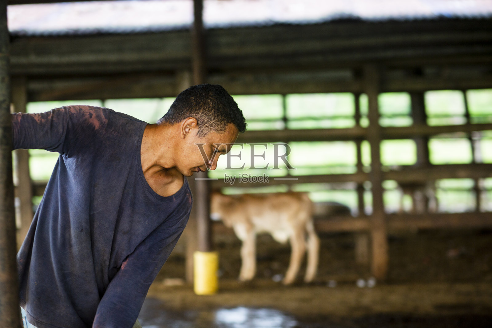 谷仓里的农民照片摄影图片
