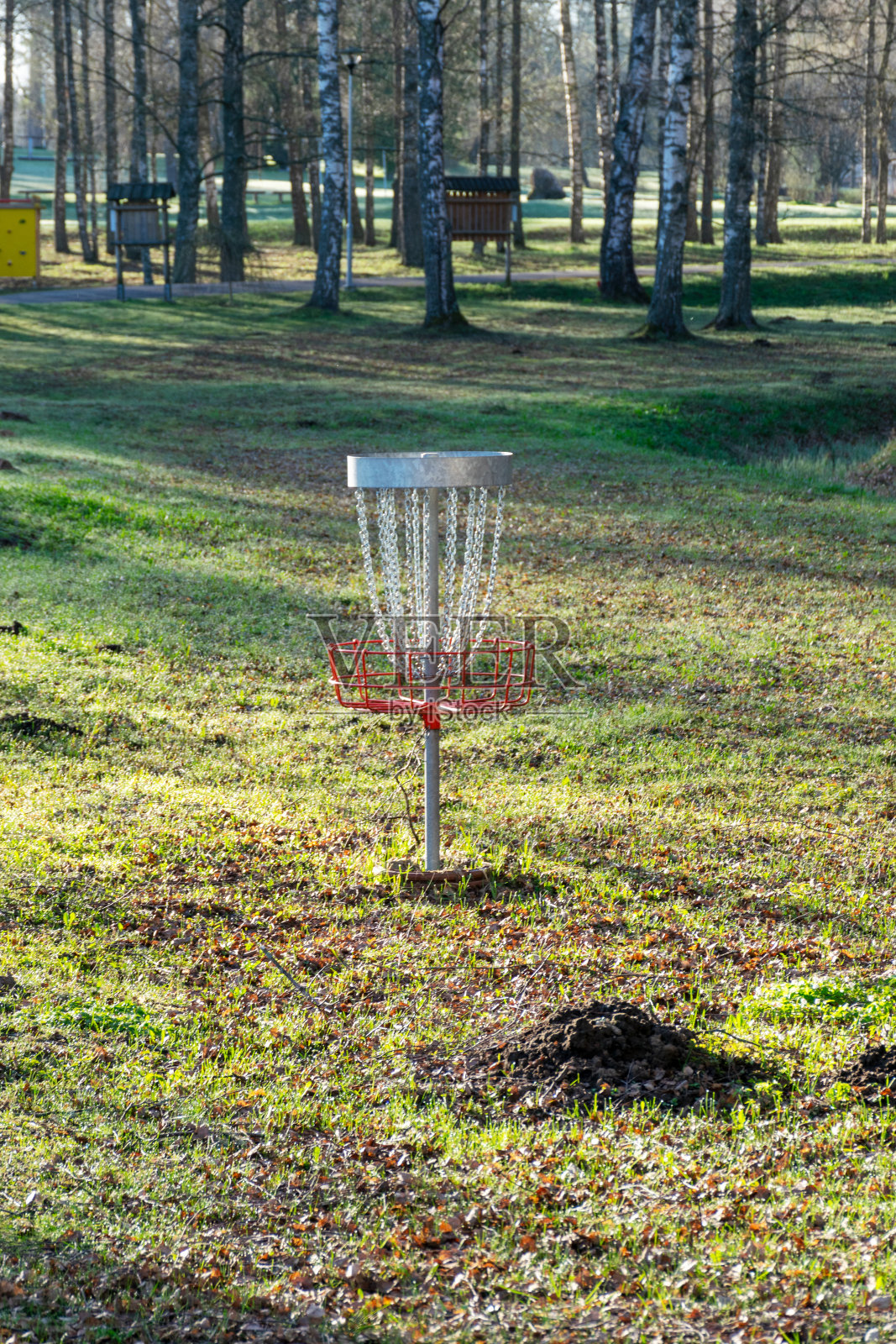绿色草地上的圆盘高尔夫球洞，背景是白桦林，公园里的圆盘高尔夫球篮照片摄影图片