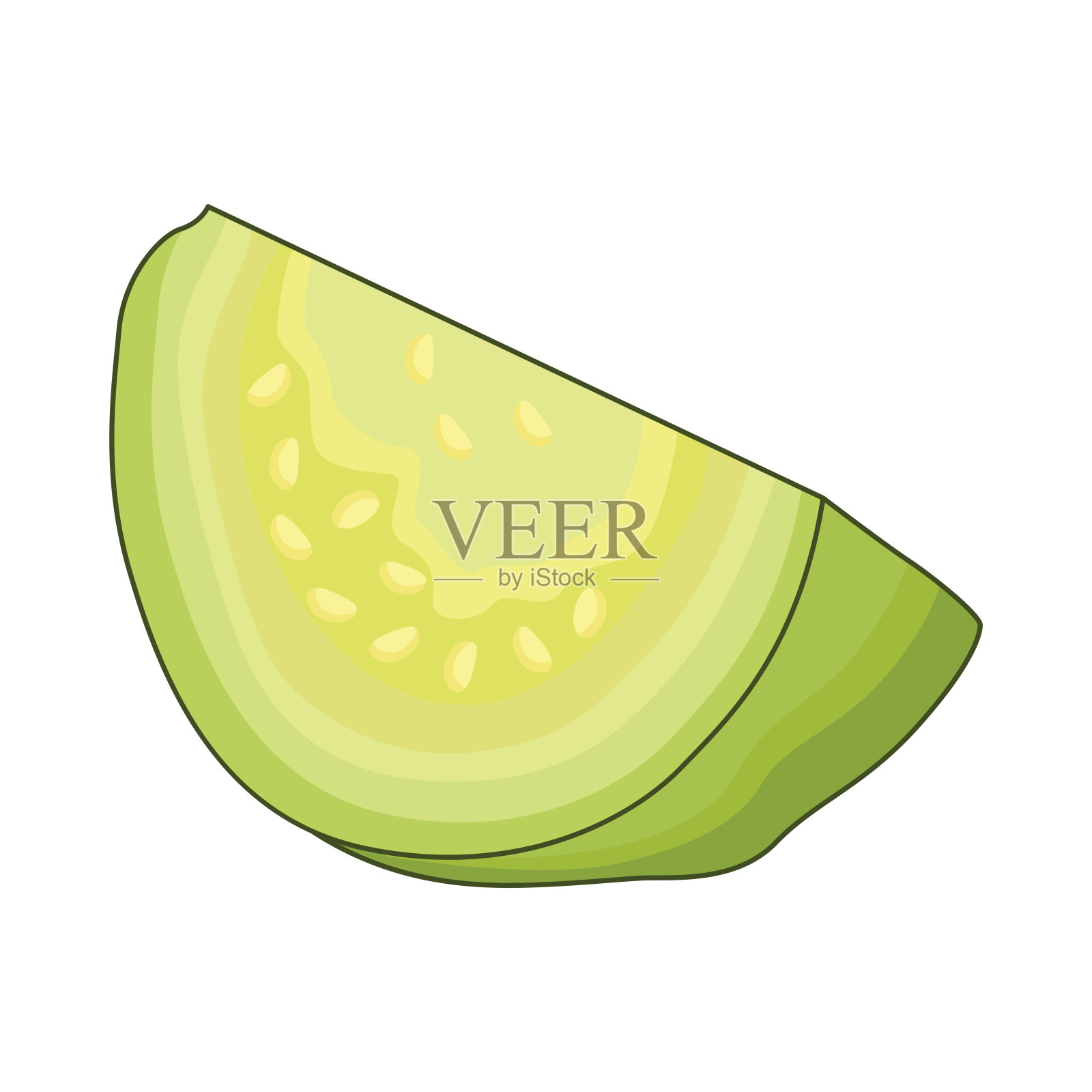 番石榴片插画图片素材