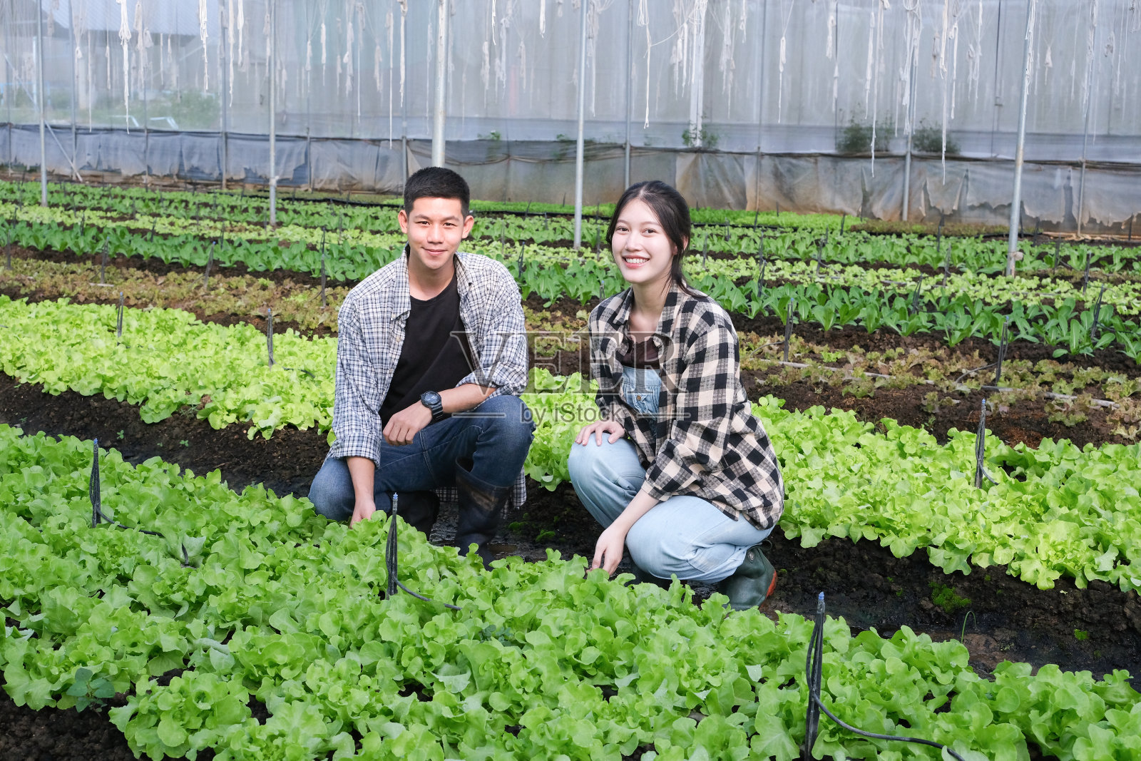 两个年轻的亚洲农民夫妇在蔬菜水培农场快乐地工作照片摄影图片
