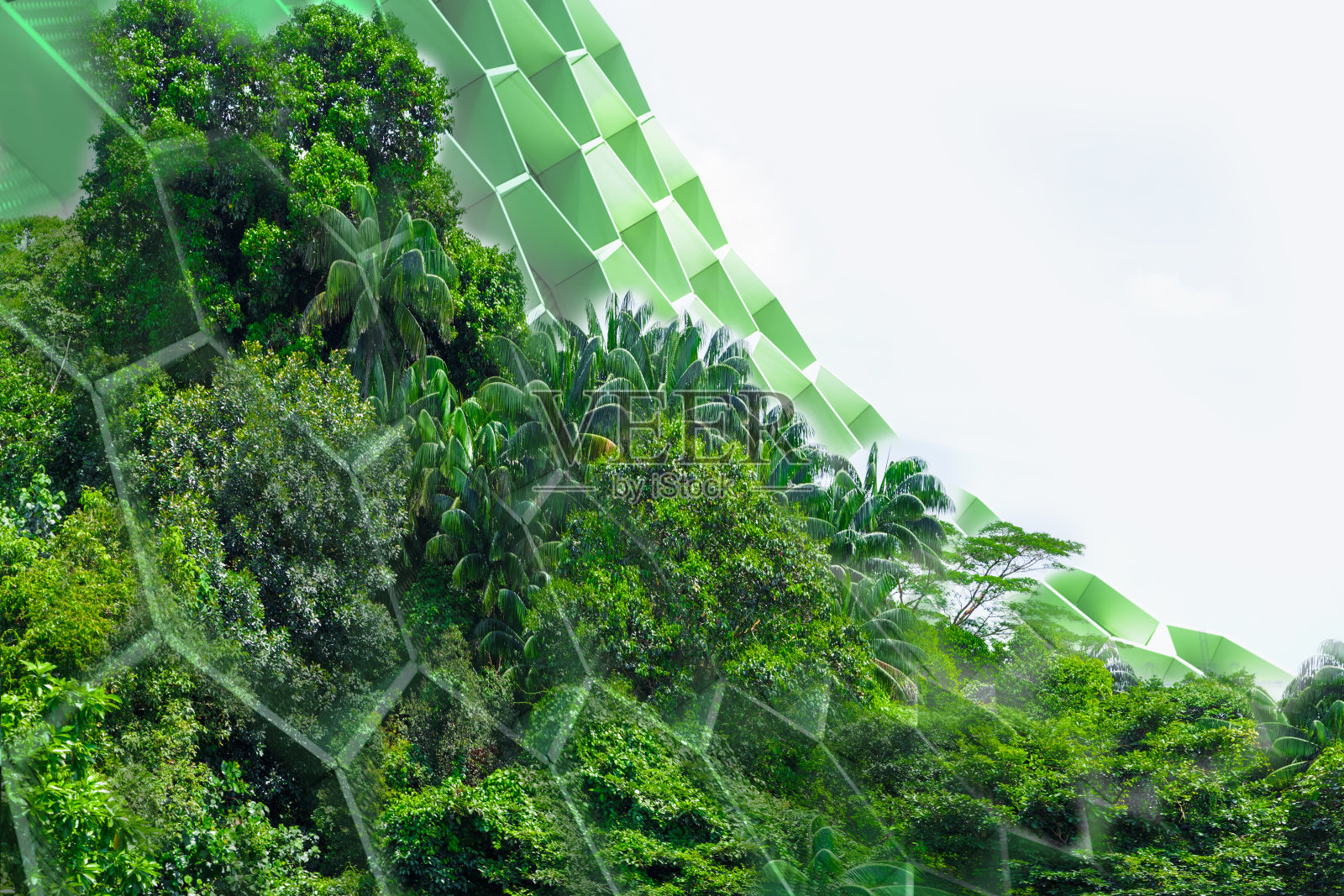 绿色环保-可持续资源-绿色建筑照片摄影图片