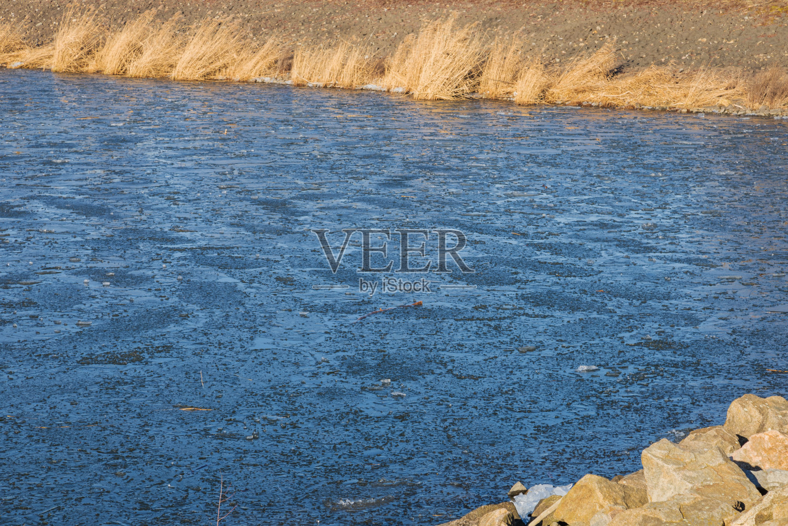 冰湖岸边的浮冰照片摄影图片