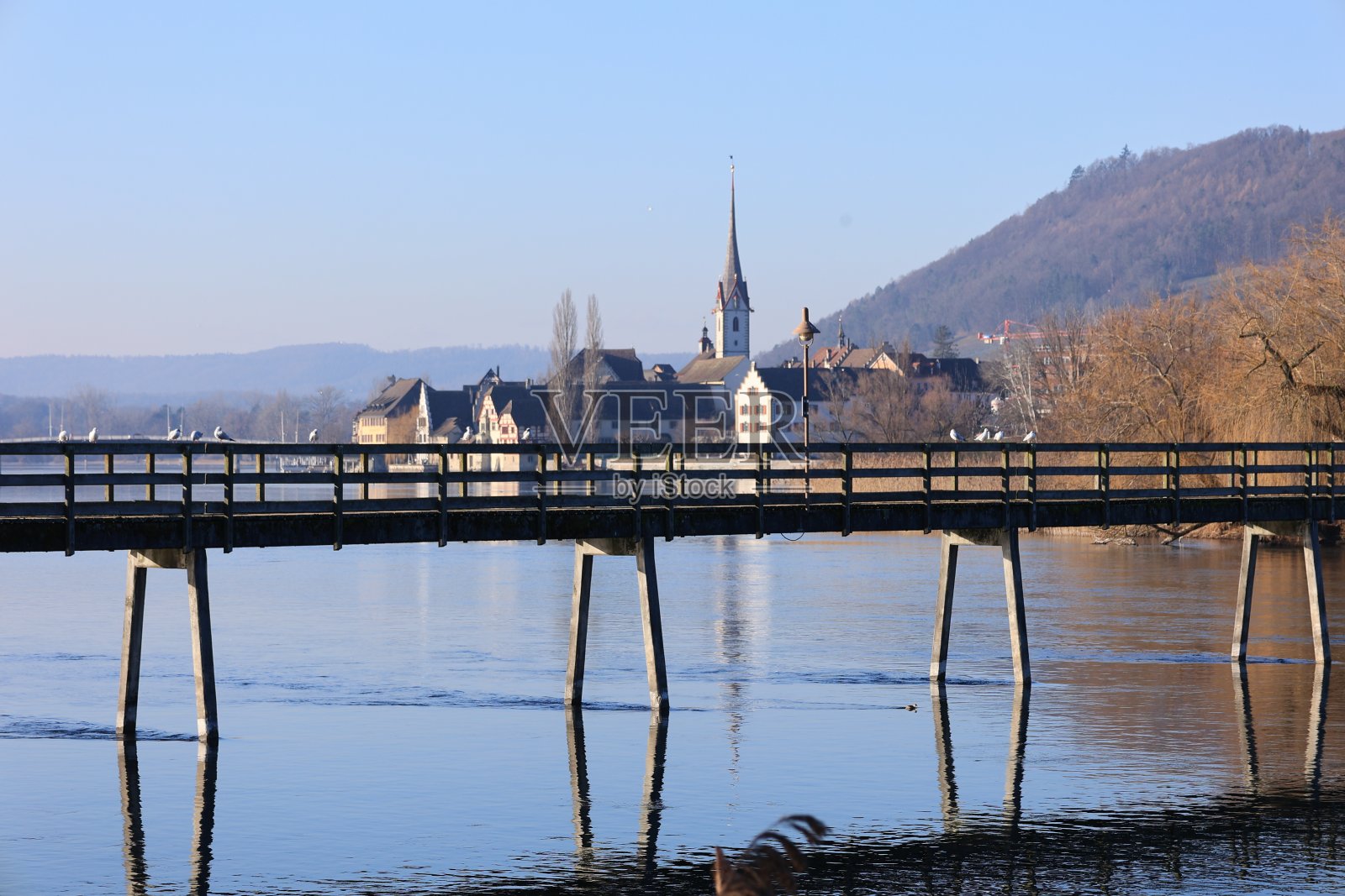 阳光明媚的冬日，莱茵河上的沃尔德岛照片摄影图片
