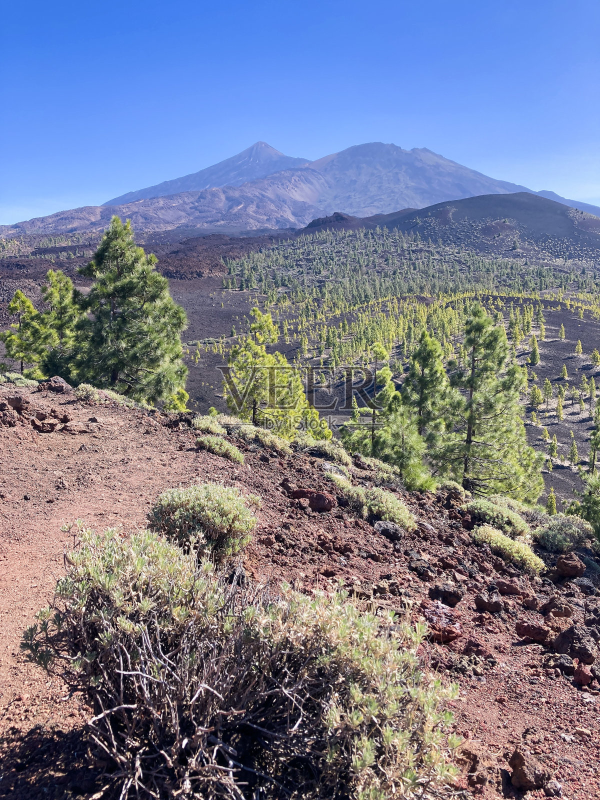 埃尔泰德国家公园的熔岩场。在特内里费火山岛上徒步旅行。照片摄影图片
