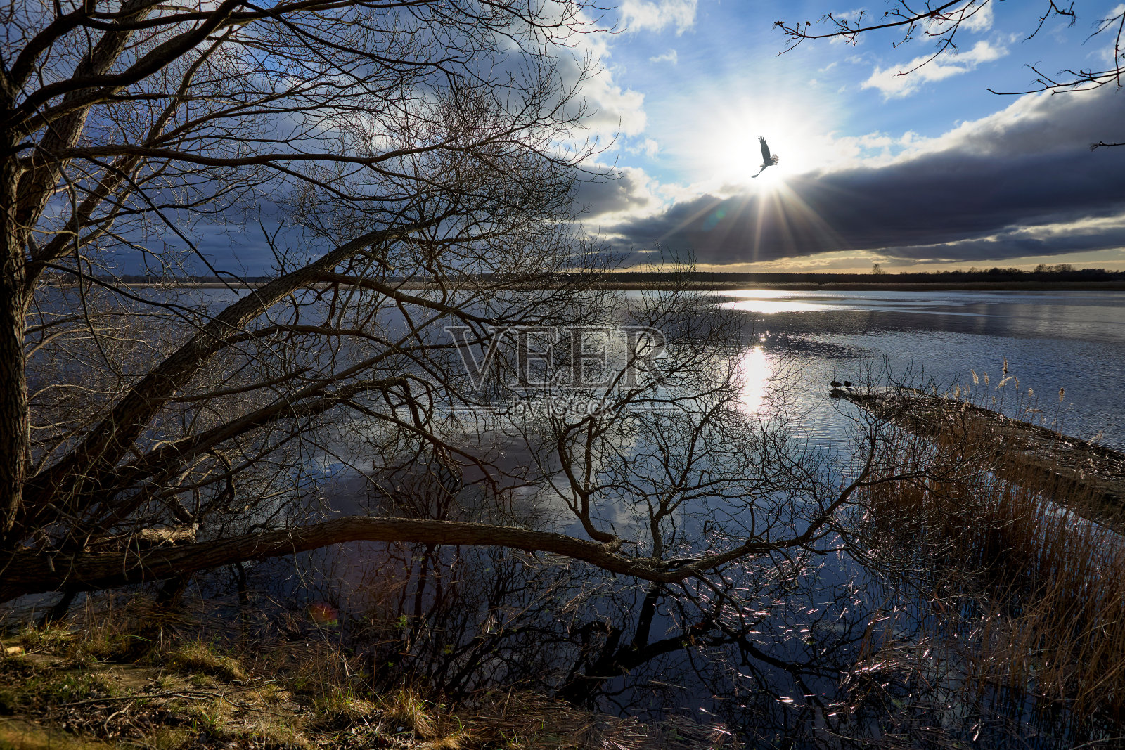 大自然赞美诗照片摄影图片