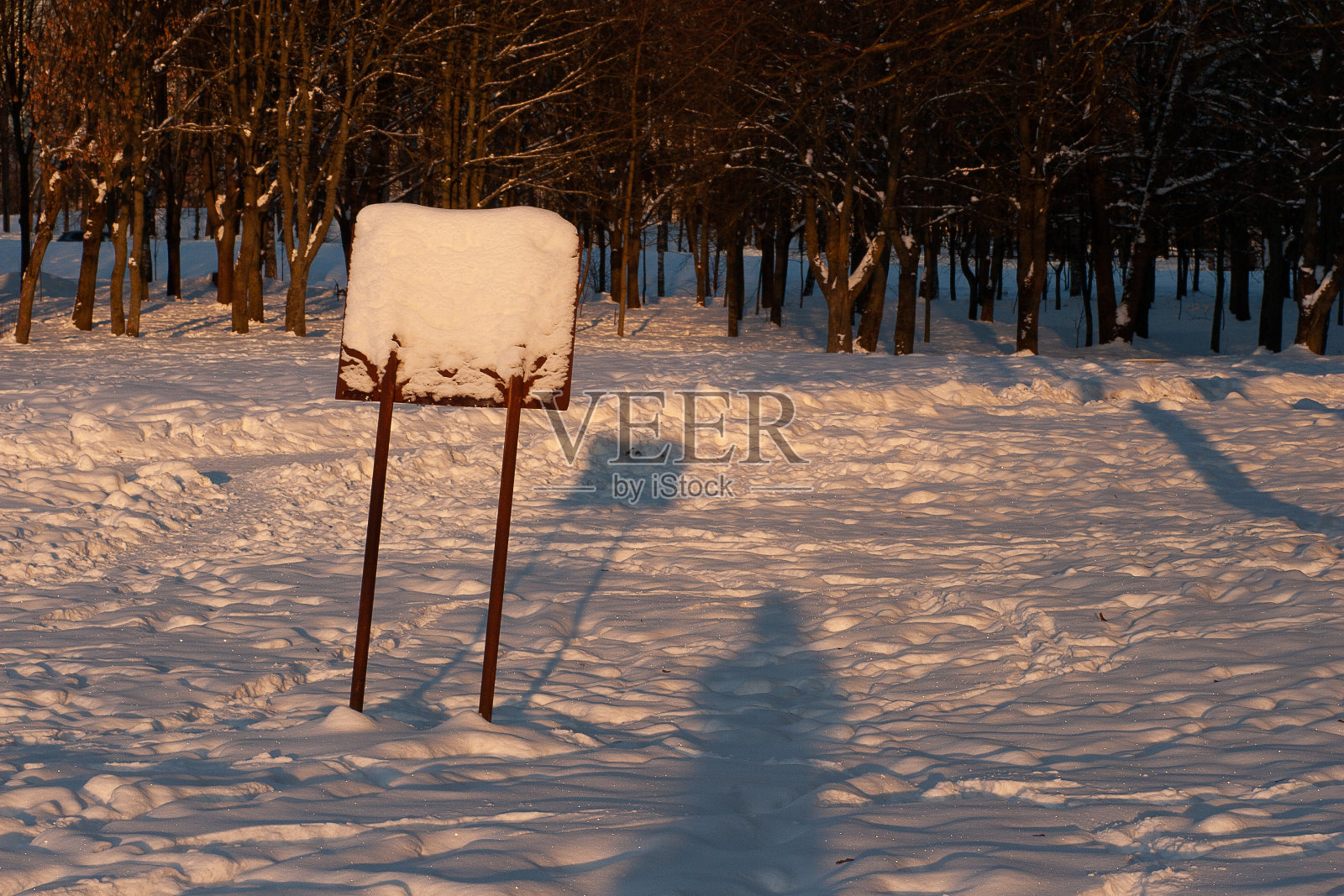 冬季景观中被雪覆盖的信息标志照片摄影图片