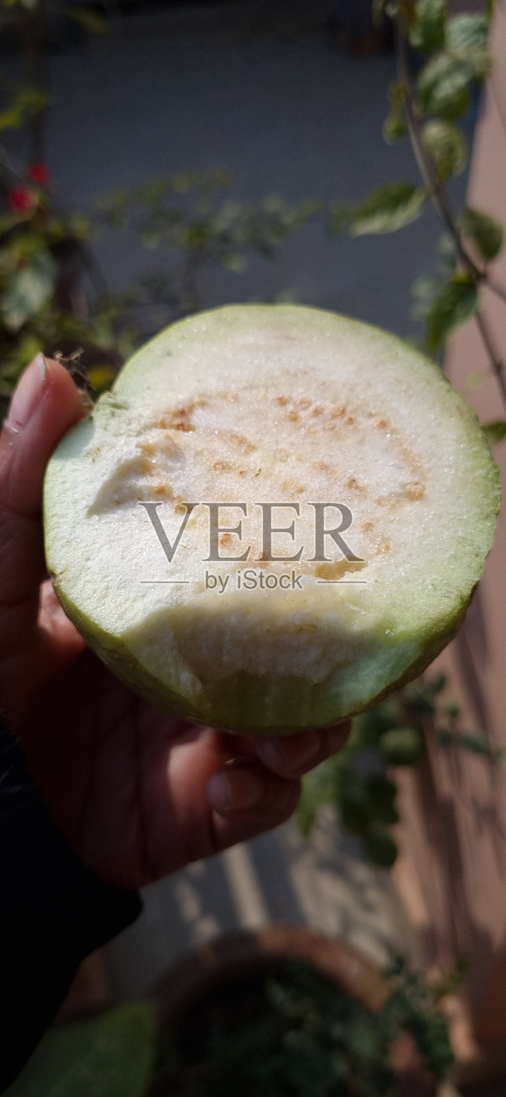 果实番石榴拷贝空间照片摄影图片