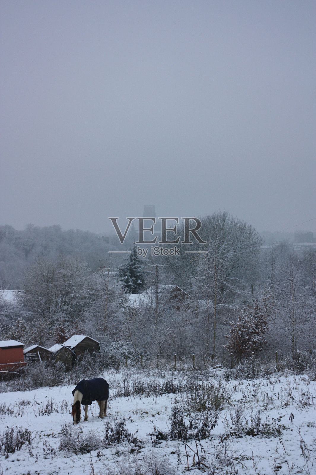 大雪中的达勒姆照片摄影图片