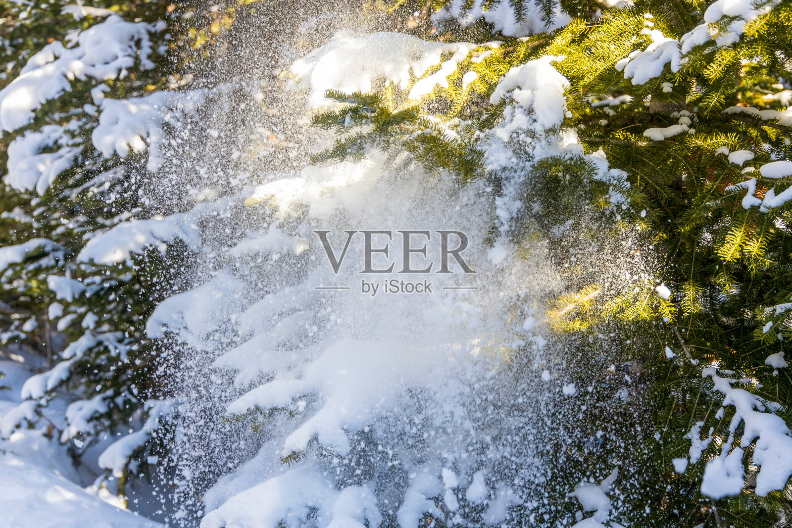 科罗拉多州落基山脉国家公园的自然风光照片摄影图片