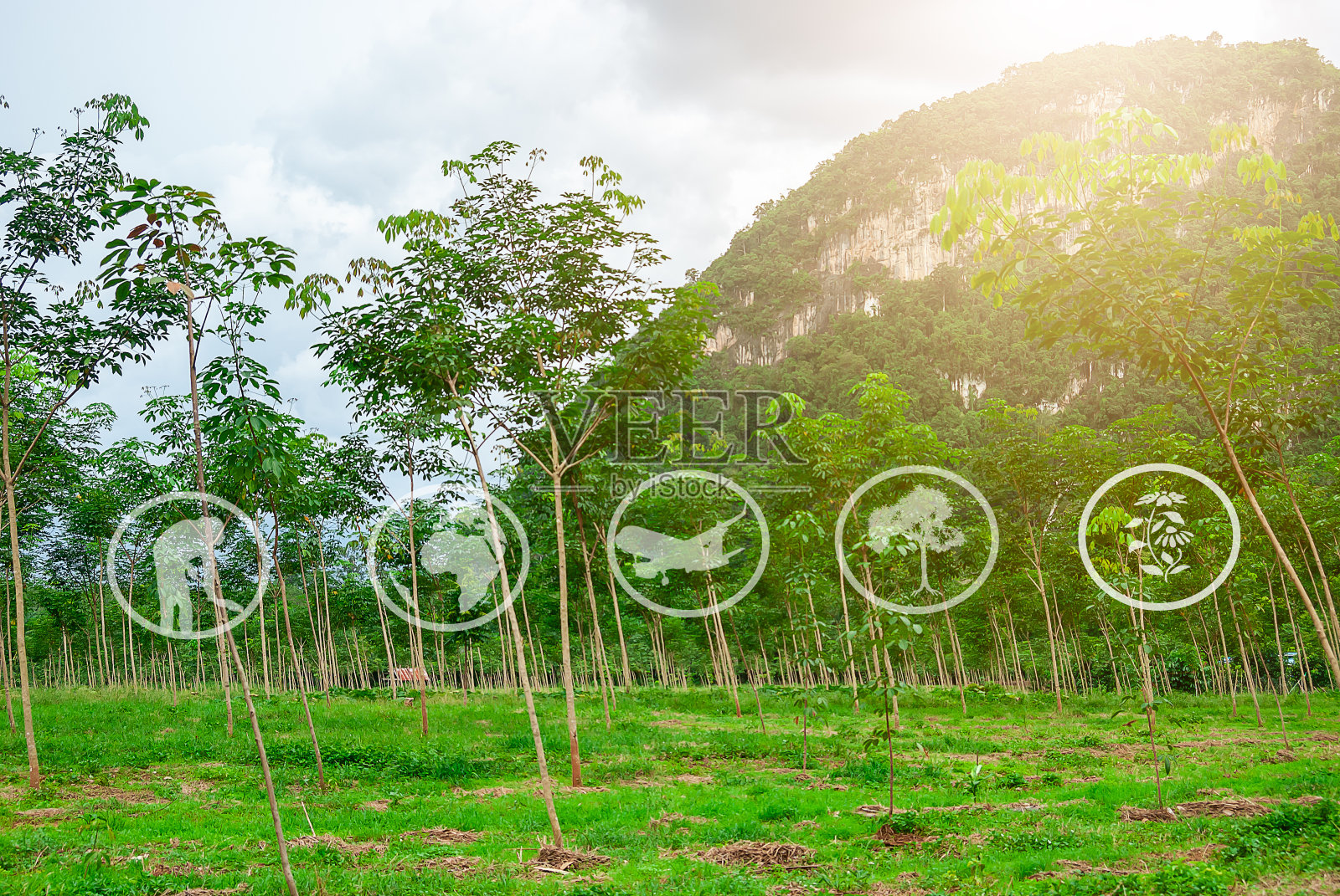 学习有关旅游和农业、自然保护、可持续发展的资源照片摄影图片