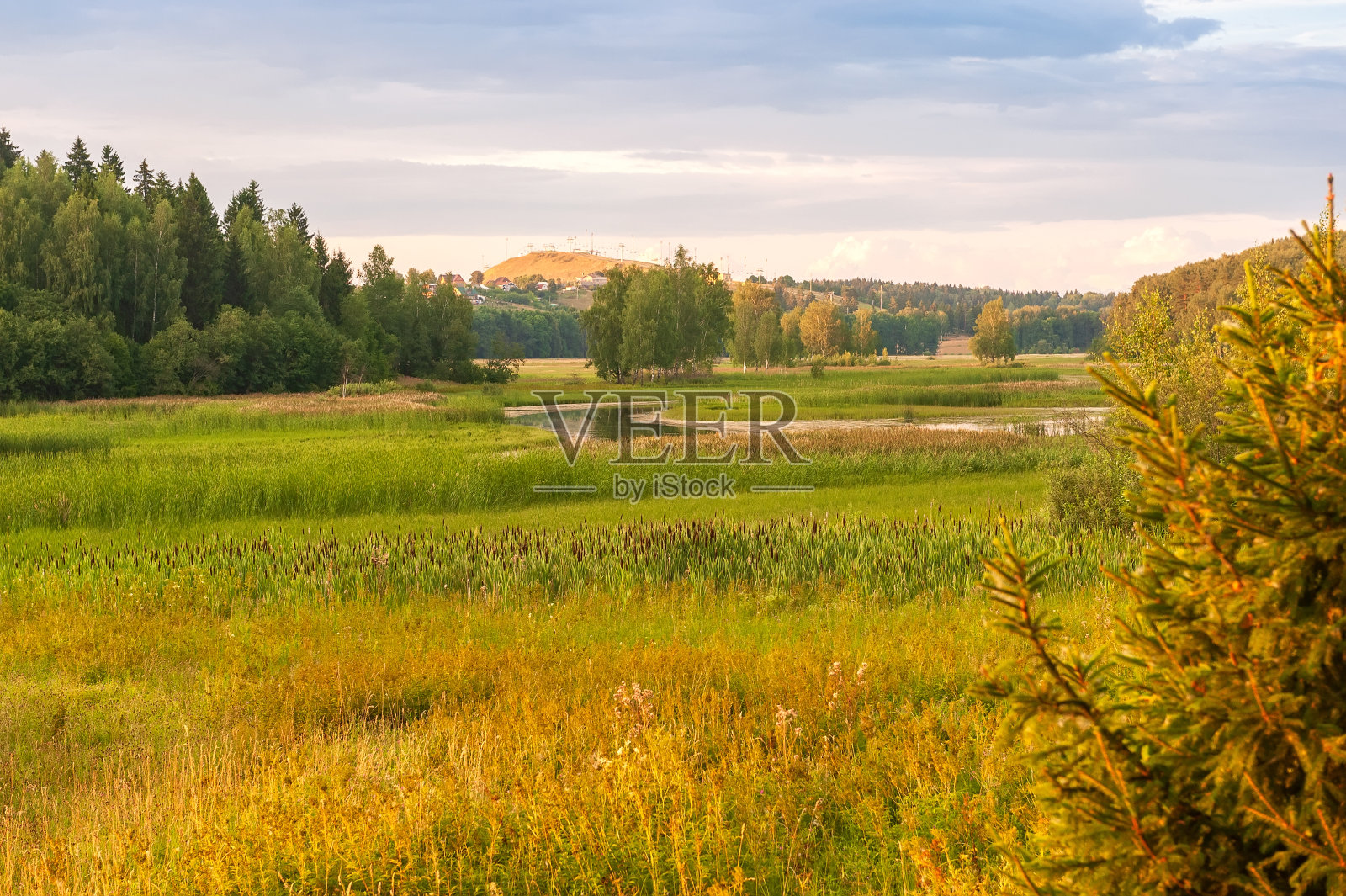 美丽的秋景有草地，有森林，美丽的蓝天有白云。照片摄影图片
