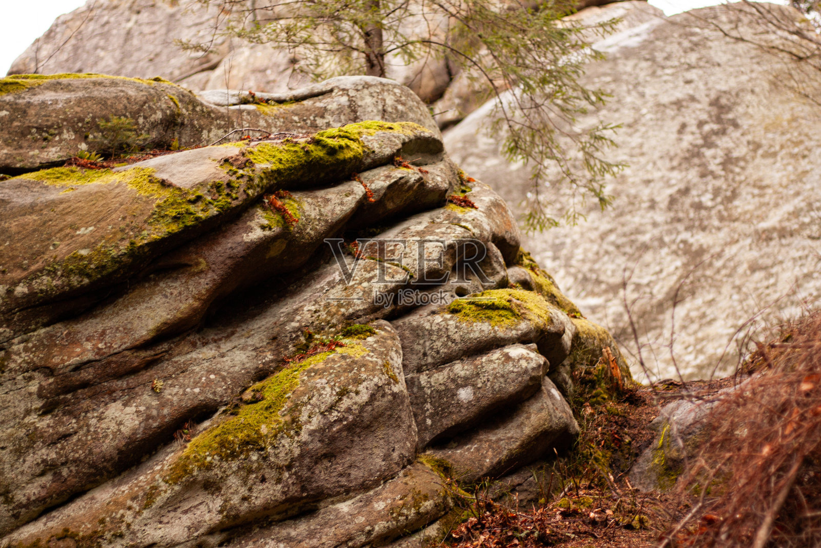 乌克兰古老的图斯坦岩石上长满了苔藓照片摄影图片