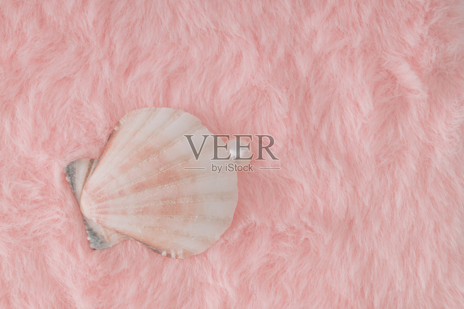 创造性的近距离组成与贝壳和白色珍珠在柔和的粉红色人造毛皮背景。极简复古美学的浪漫概念。新潮时尚的爱情理念。豪华的布局。平的。照片摄影图片