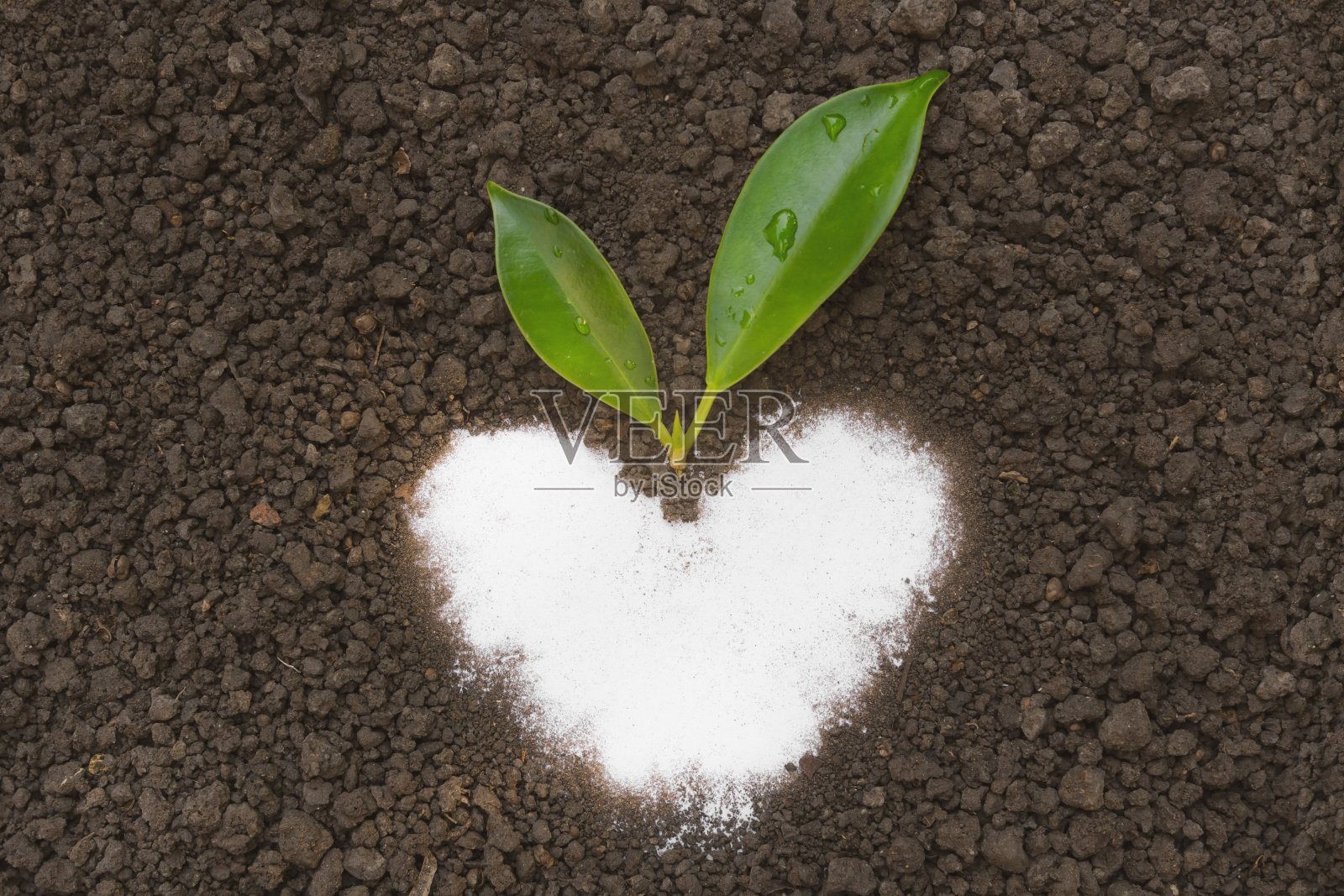 由肥沃的土壤和绿叶做成的心形。环保理念二氧化碳排放，碳信用，世界土壤日，土壤质地特写图片。平的。照片摄影图片