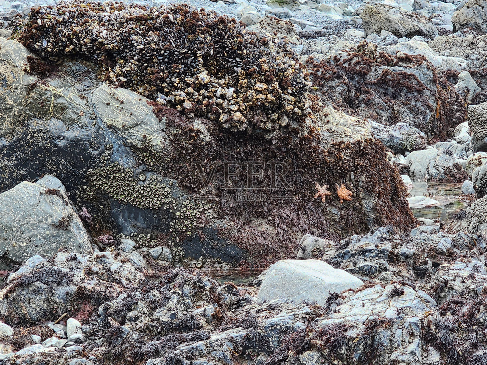 基岩水地质现象地质土壤露头照片摄影图片