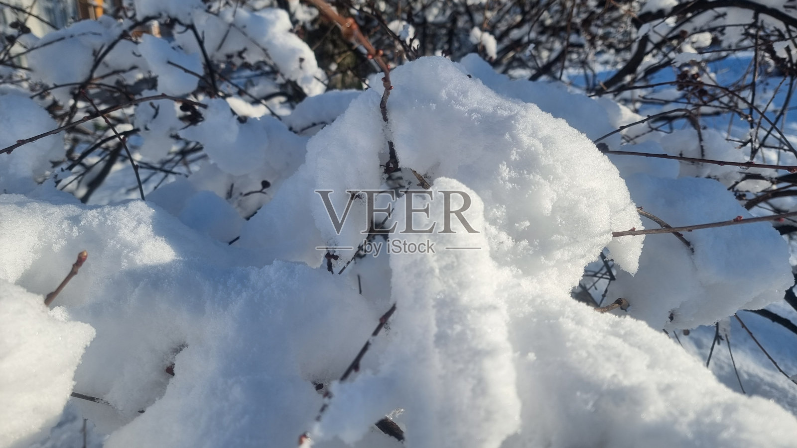 冬日美景照片摄影图片