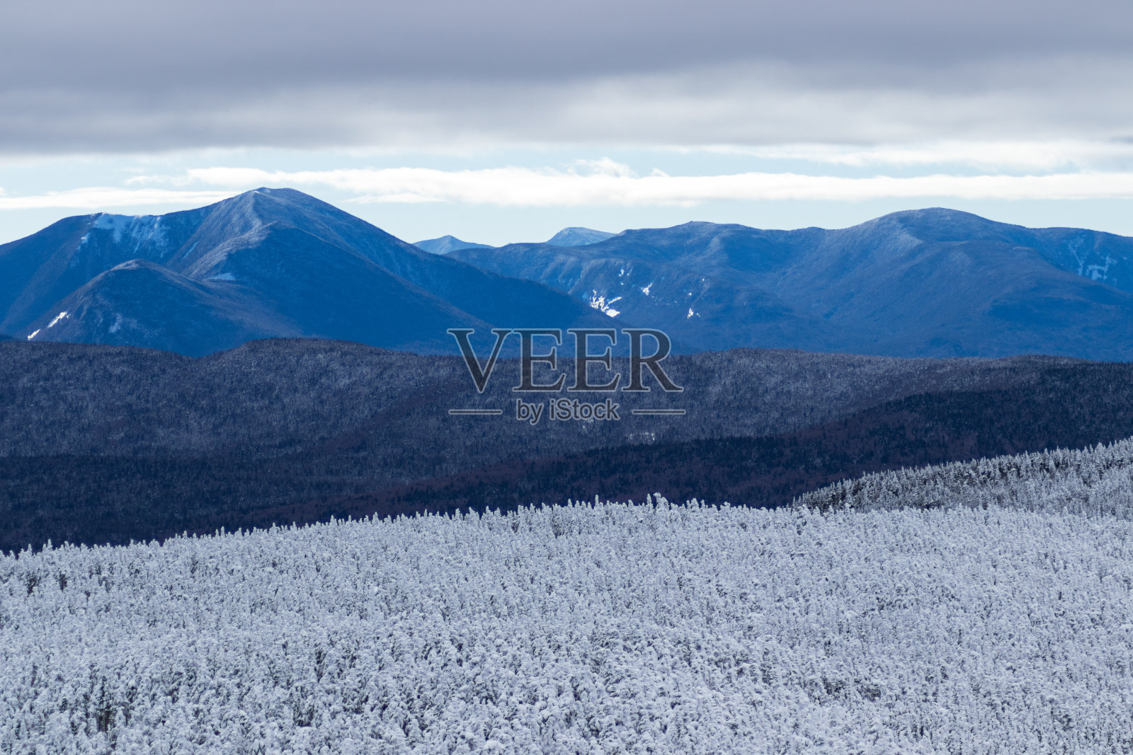 白山国家森林照片摄影图片