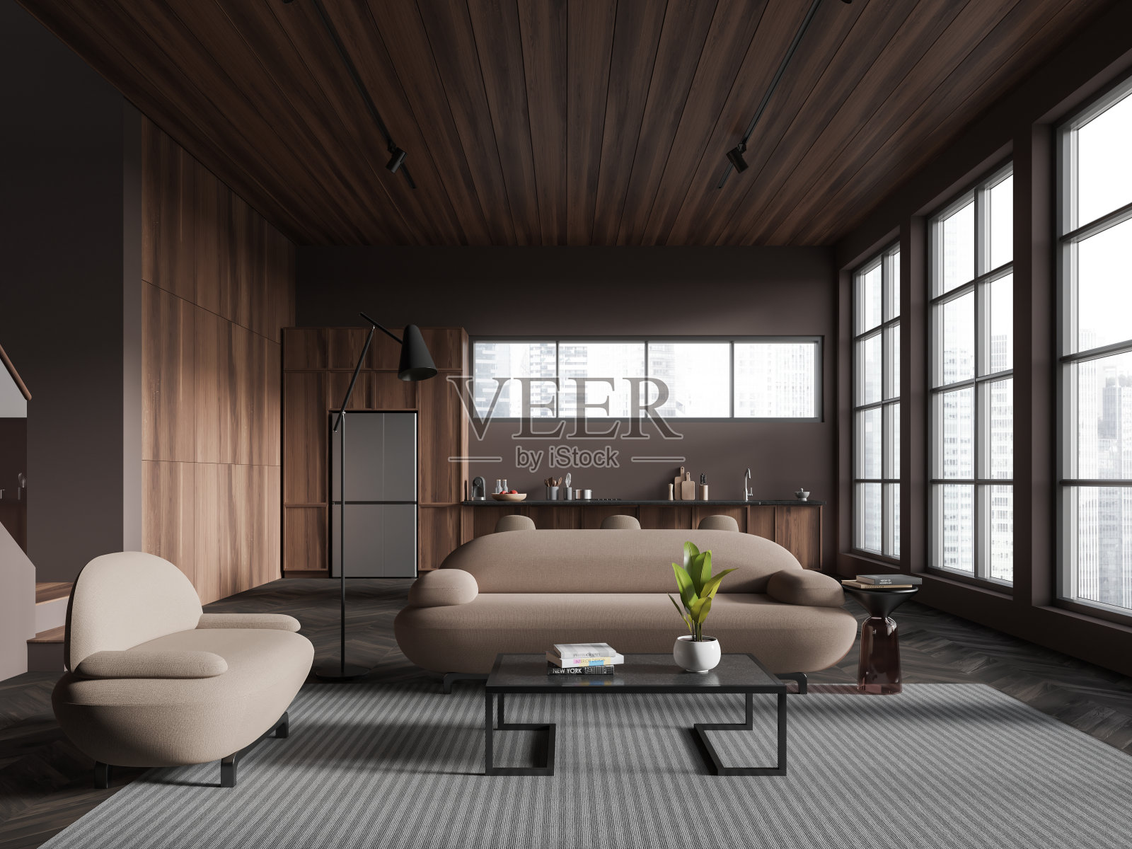 黑暗的单间公寓内部设有制冷和烹饪空间，全景窗户照片摄影图片