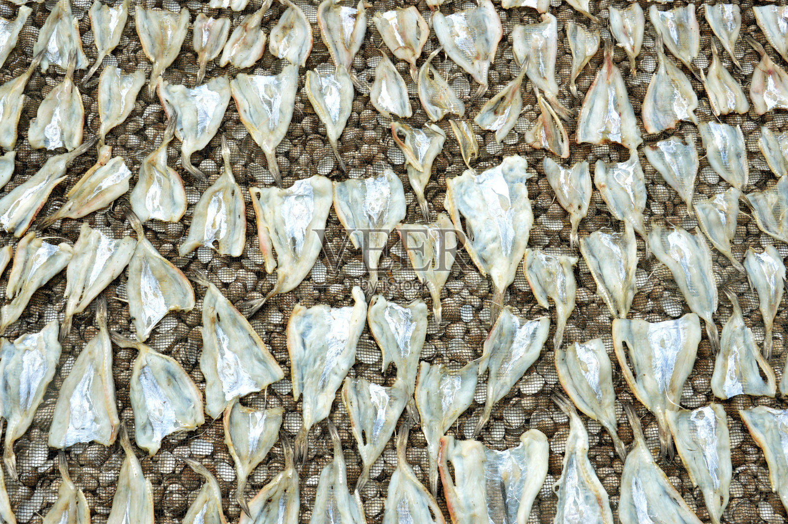 鱼干照片摄影图片