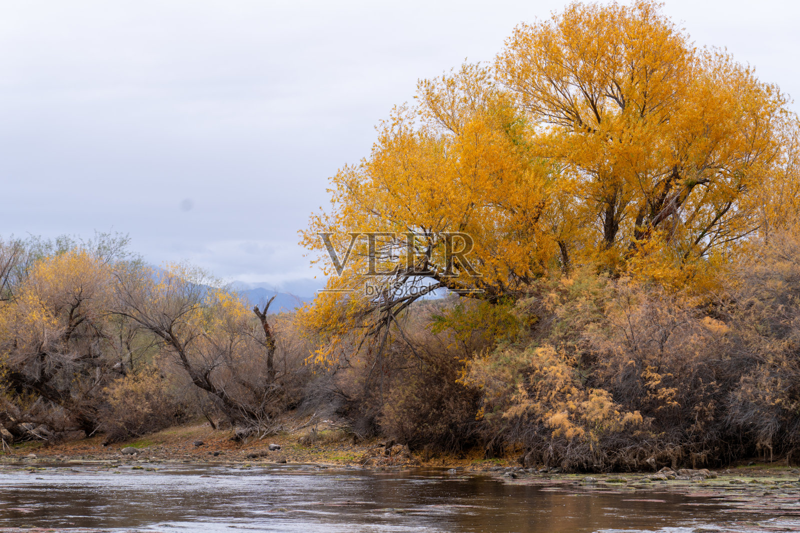 沿着盐河下游的颜色照片摄影图片