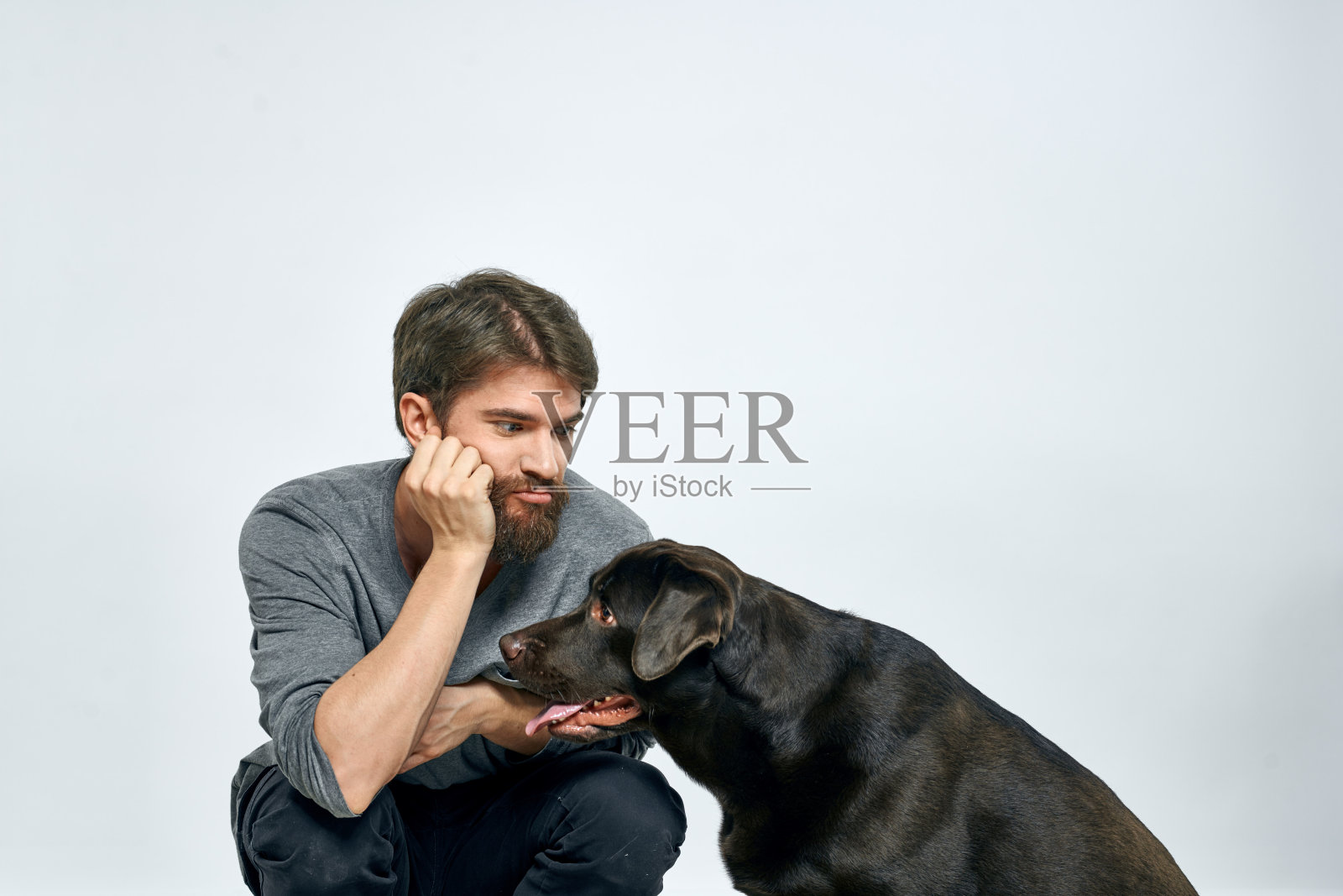 快乐主人用宠物黑狗训练情感模型照片摄影图片