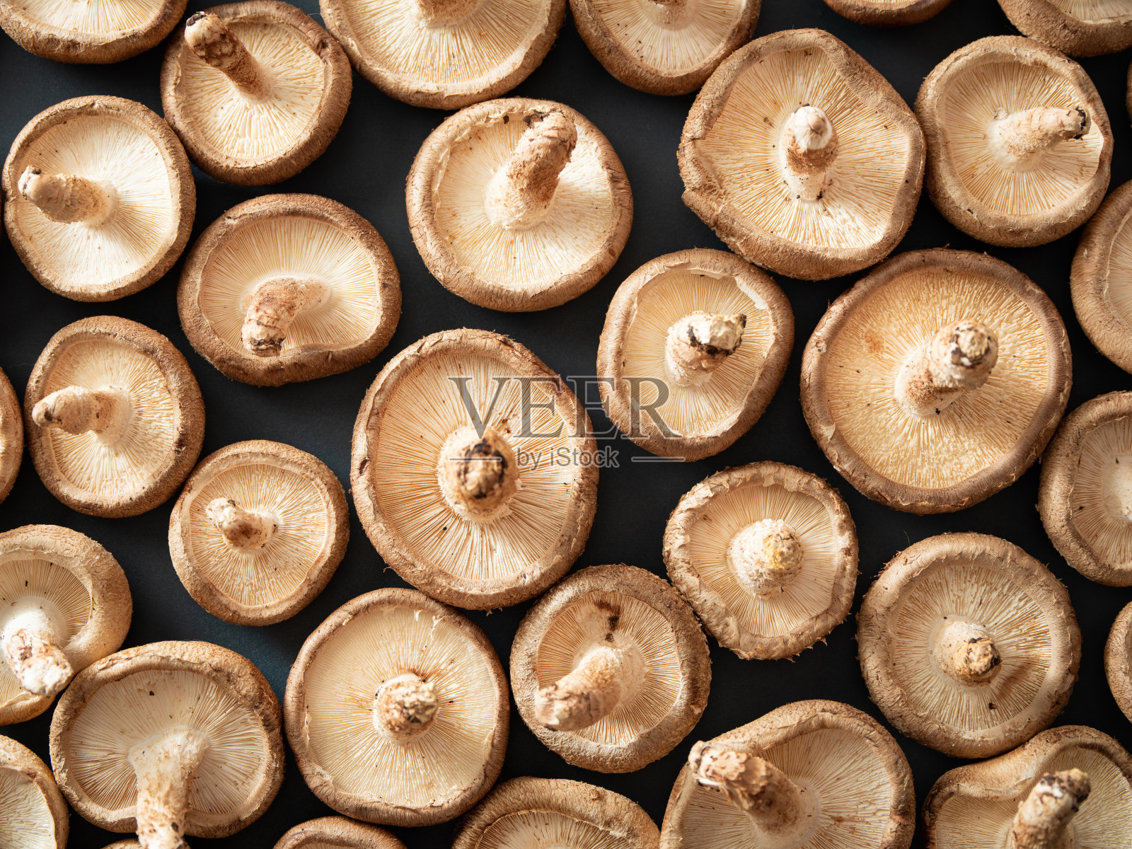 香菇，新鲜香菇照片摄影图片