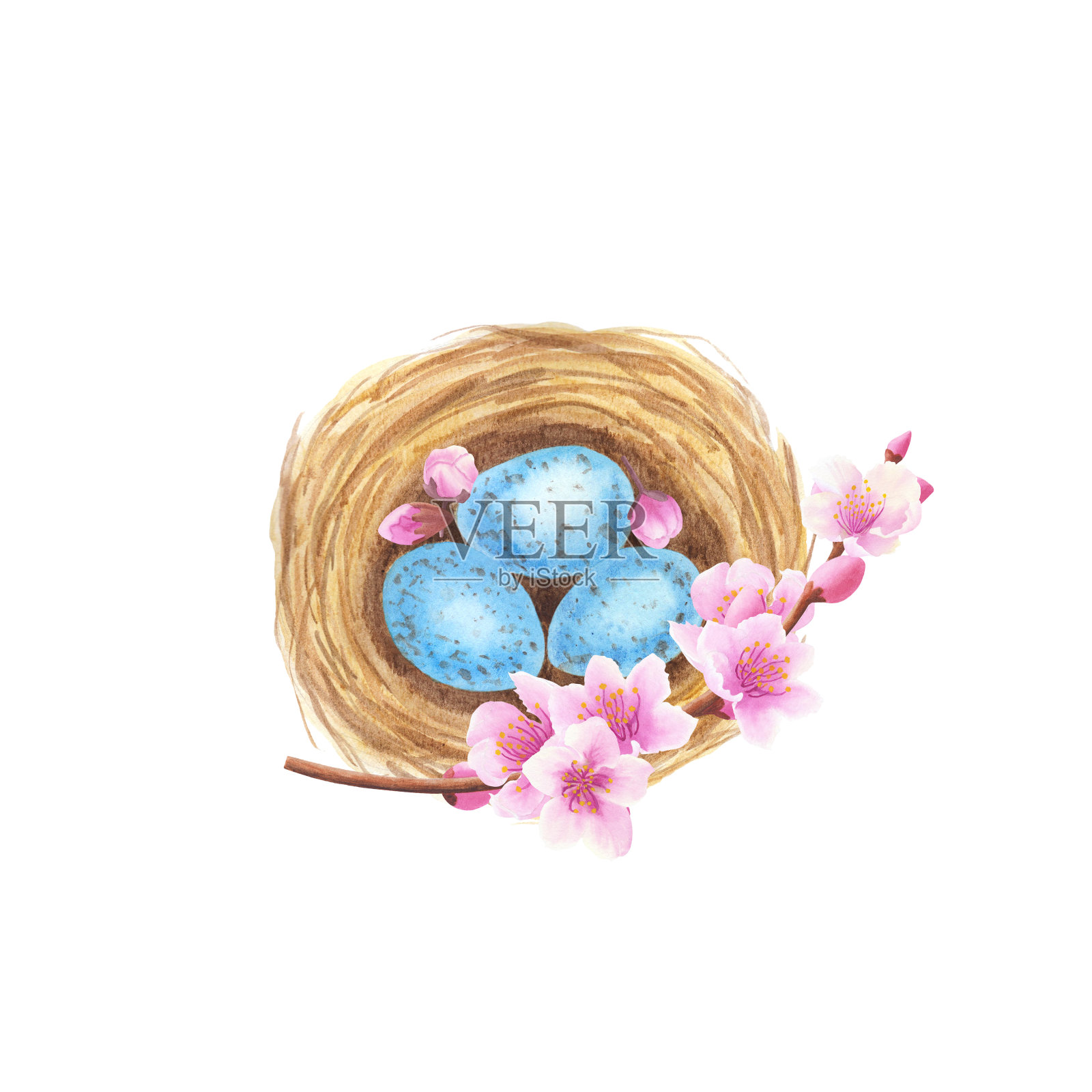 巢与蓝色的蛋，小枝和芽孤立在白色的背景。水彩插图手绘。用于设计，贺卡，请柬，祝贺，包装，印刷，名片，广告插画图片素材