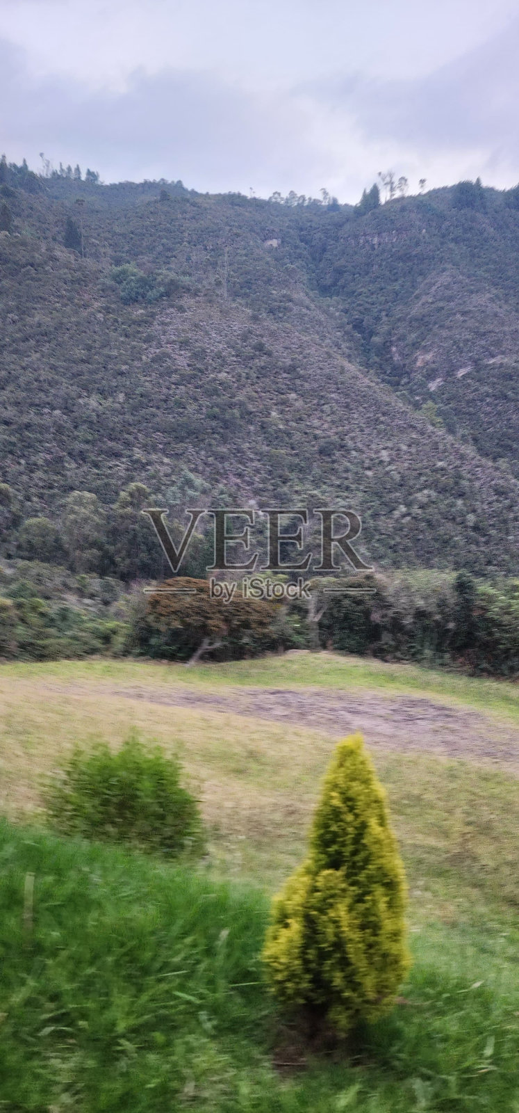 风景、森林、山脉照片摄影图片