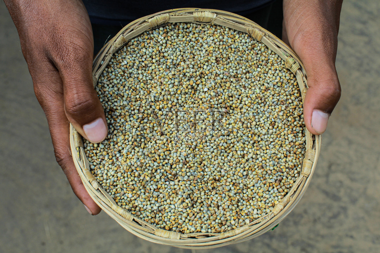 竹篮里装着珍珠粟种子照片摄影图片