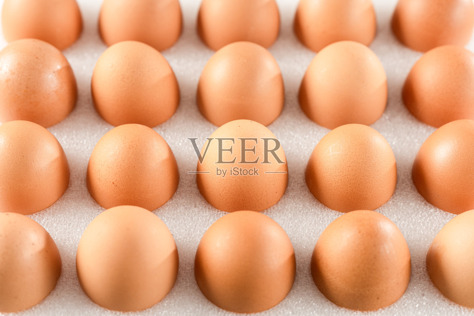 蛋照片摄影图片