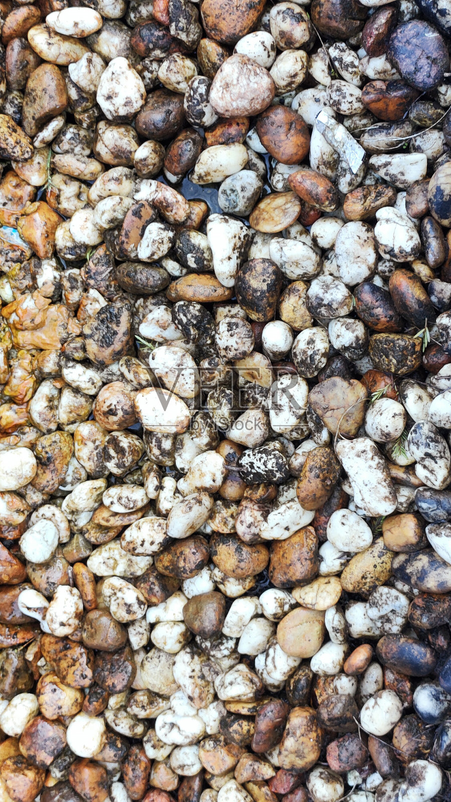 大自然的圆石滩，石墙纹理背景照片摄影图片