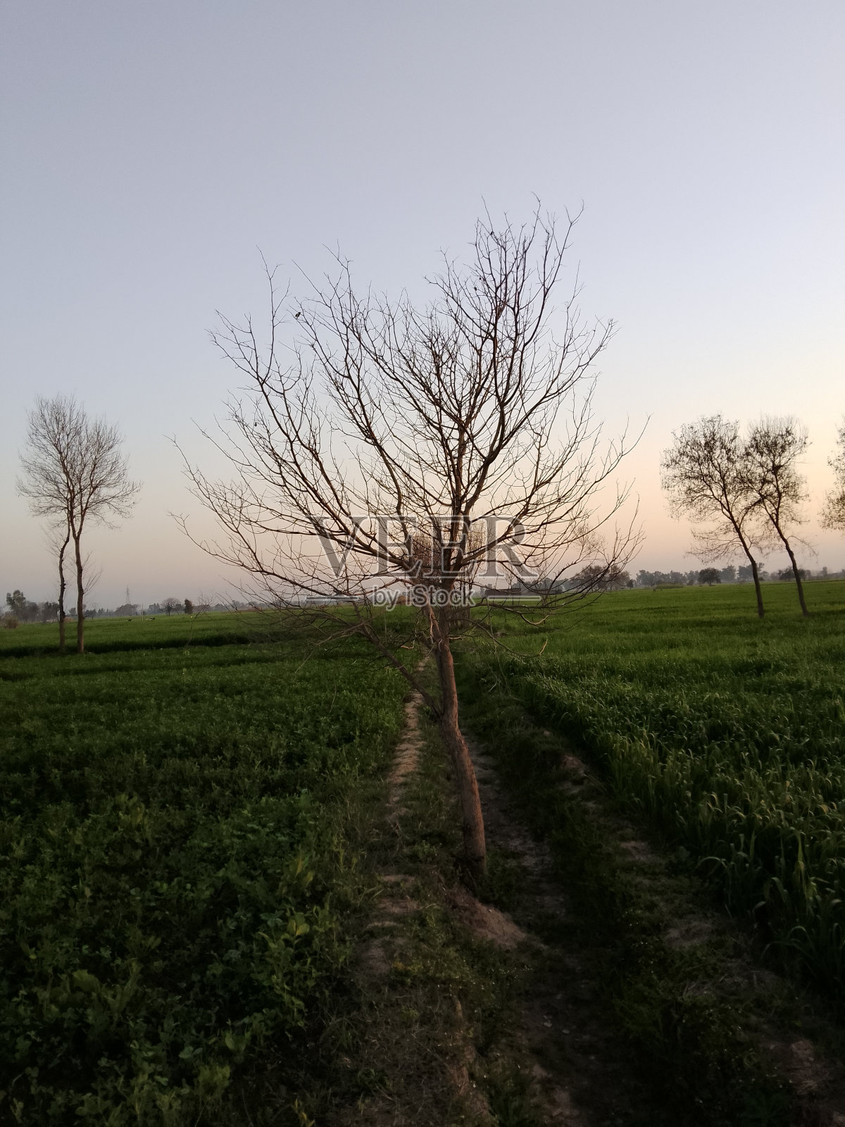 晚上的时间照片摄影图片