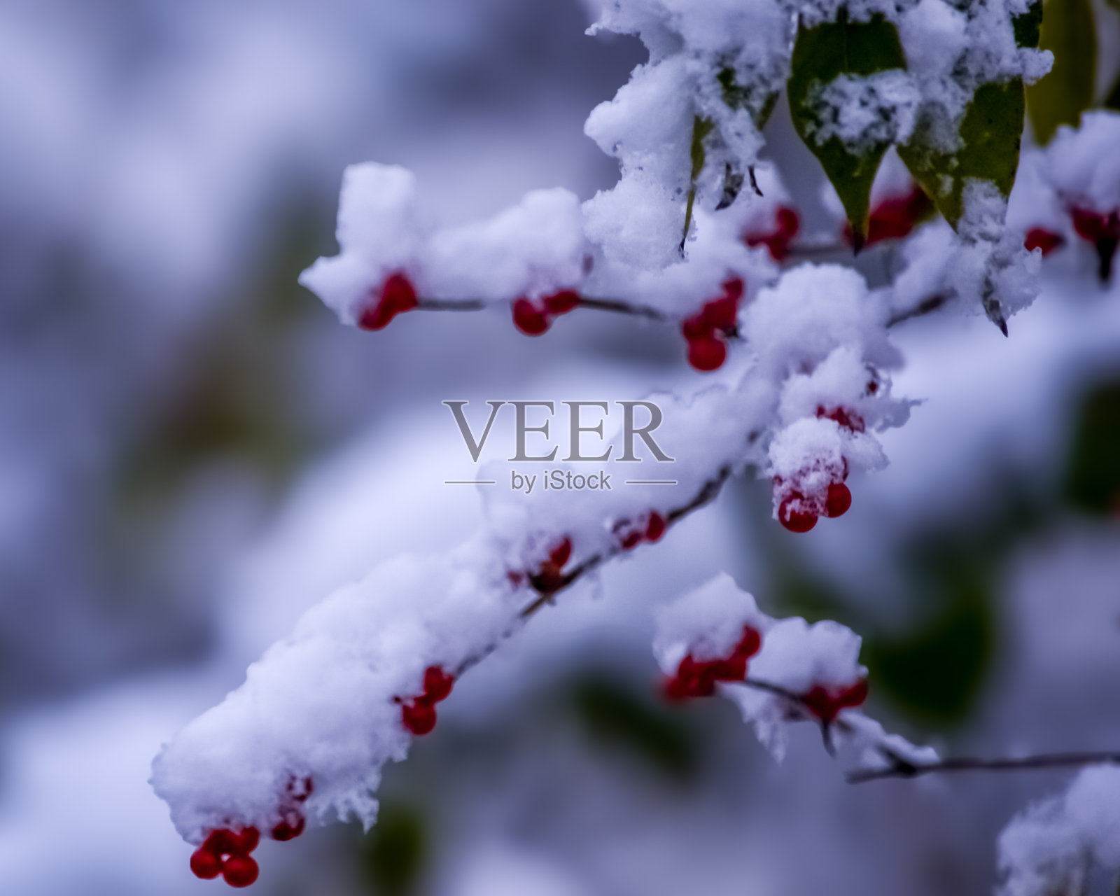 下雪天照片摄影图片