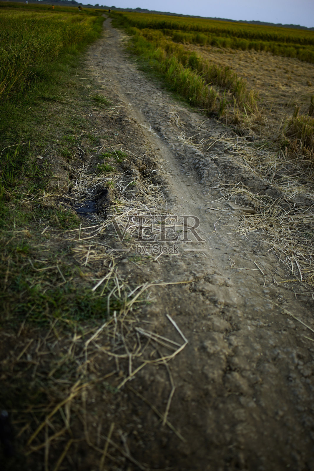 干泥小径照片摄影图片