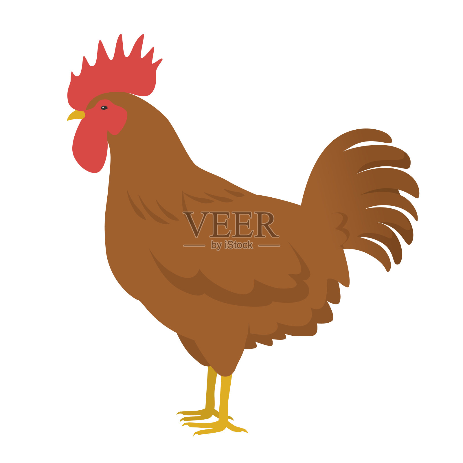 鸡插画(公鸡)插画图片素材