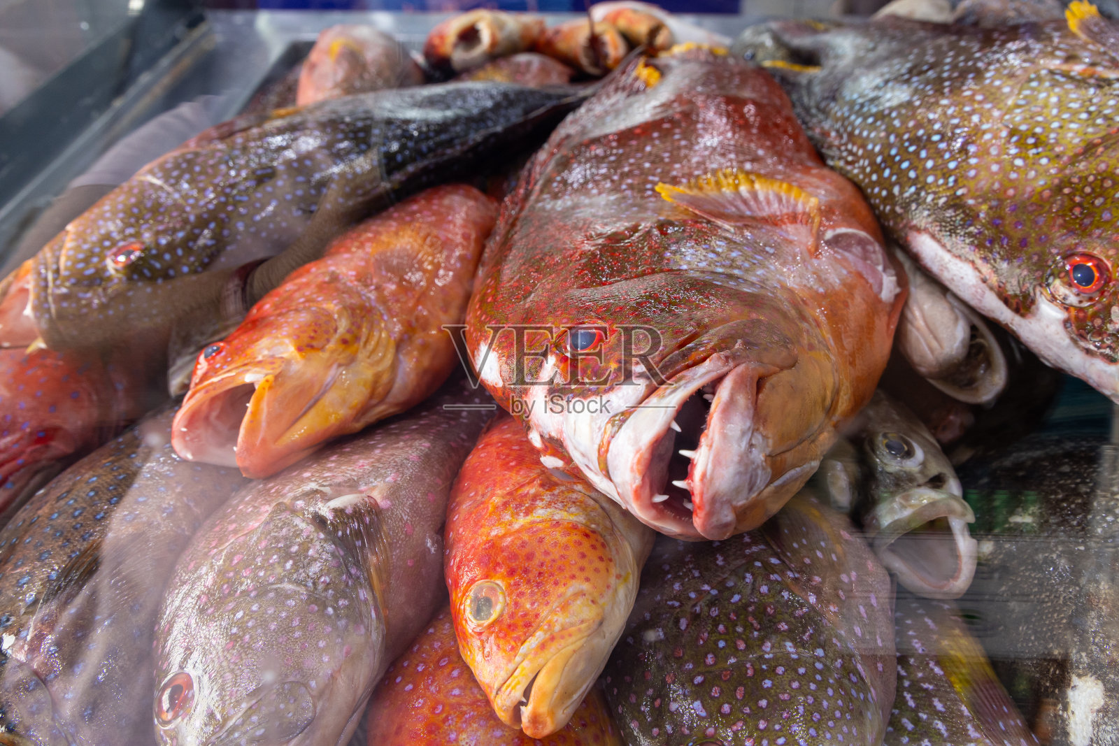 在港口城市杜巴的市场上，新鲜的鱼。照片摄影图片