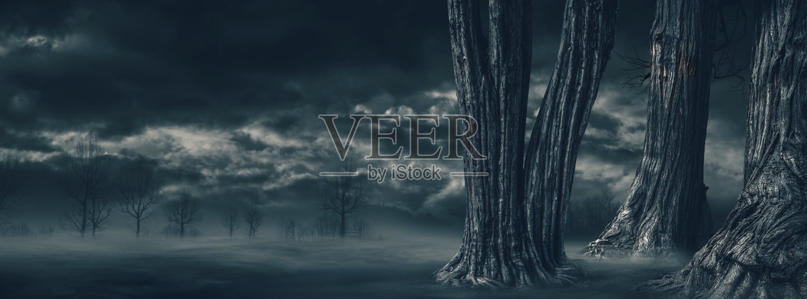 夜空背景与乌云和树木照片摄影图片