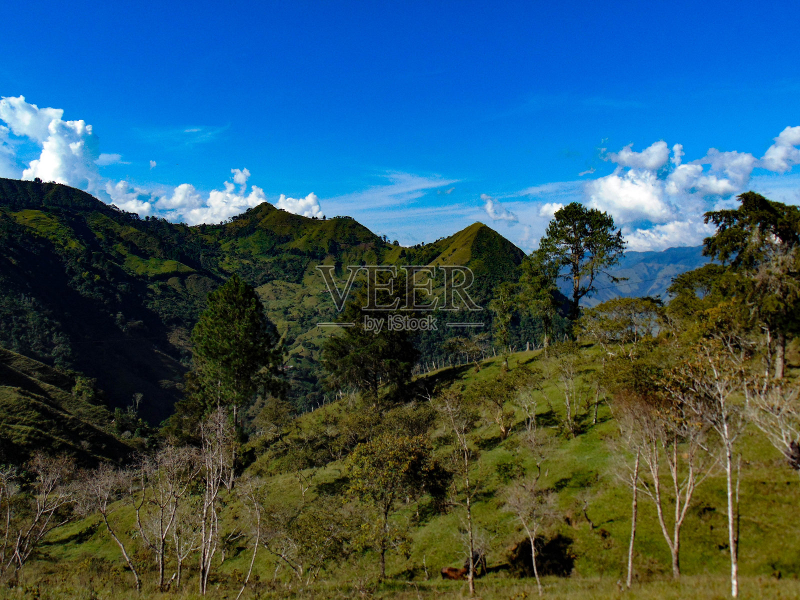 景观照片摄影图片