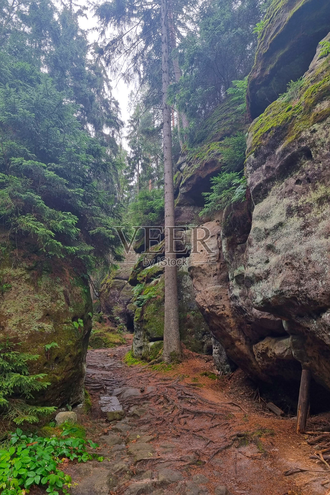 沿山崖小径远足、徒步旅行、户外休闲。照片摄影图片