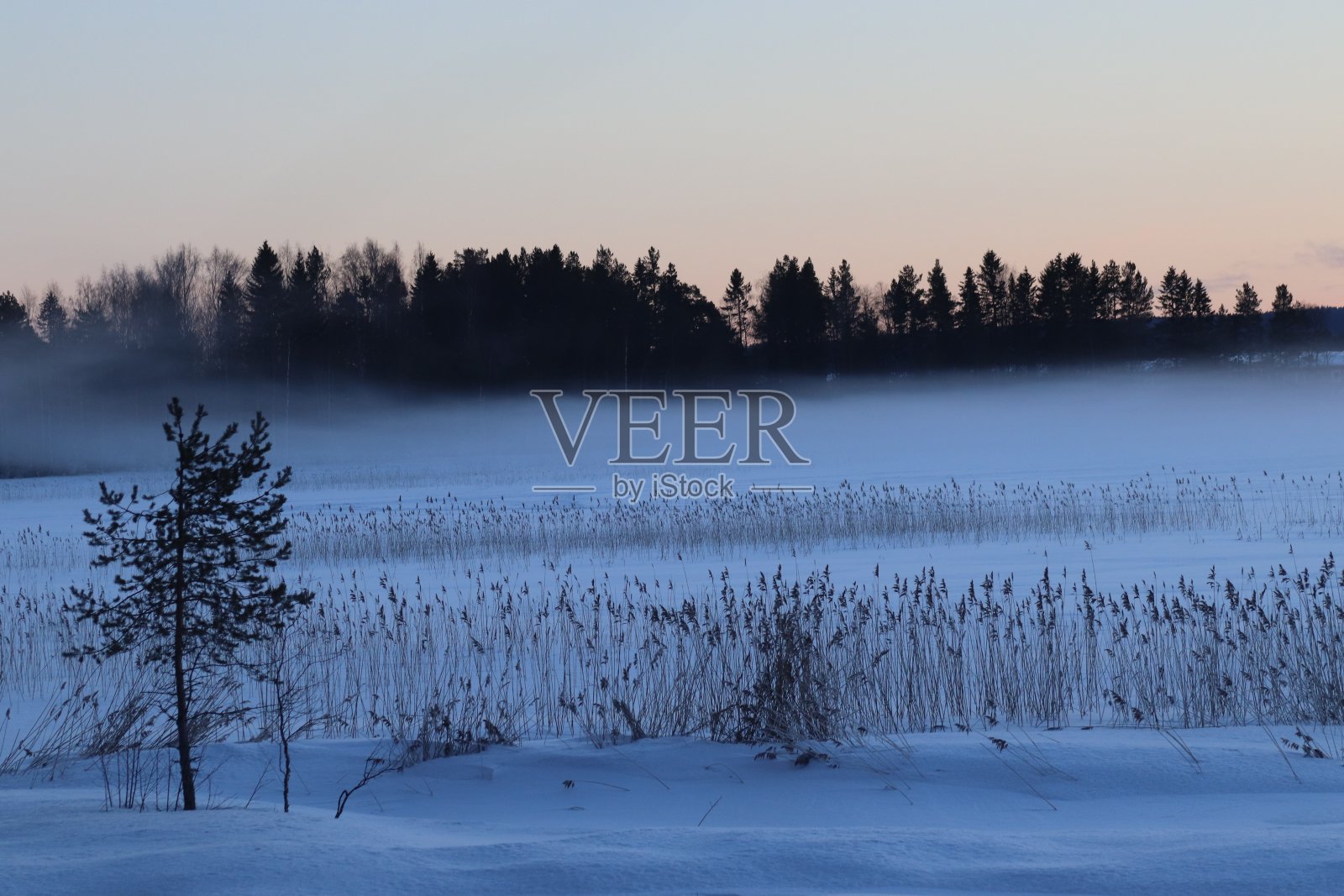 在一个蓝天的冬日里，雾气缭绕的湖面。森林和草地在冰冷的冰水中。照片摄影图片