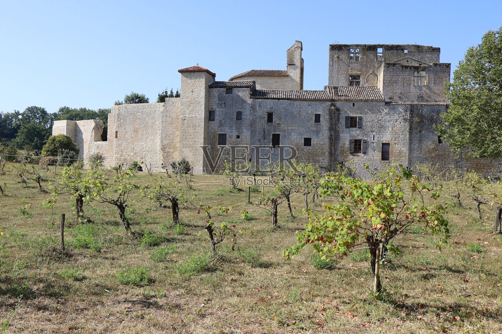 Larressingle -概述照片摄影图片