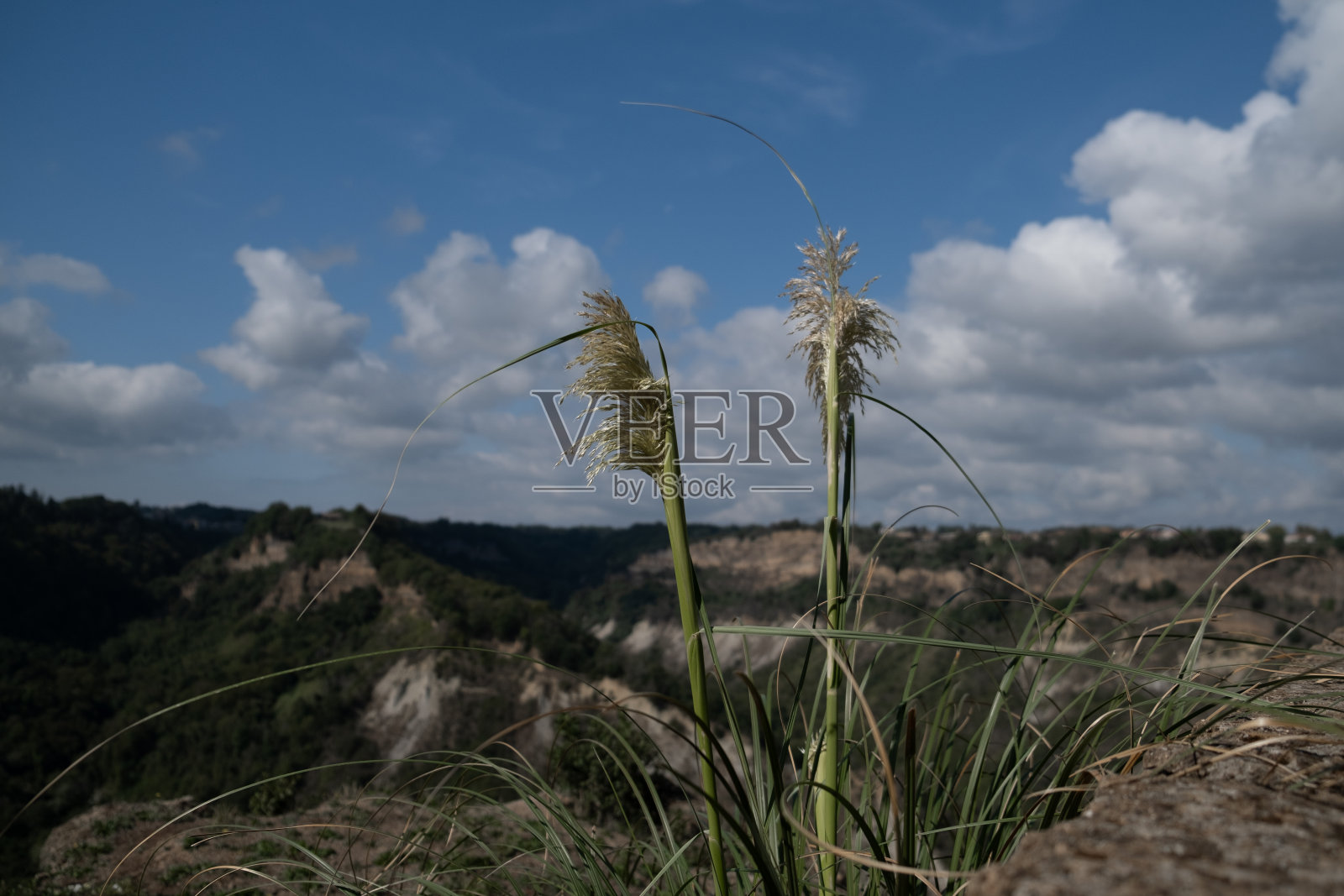 有沟壑的景观照片摄影图片