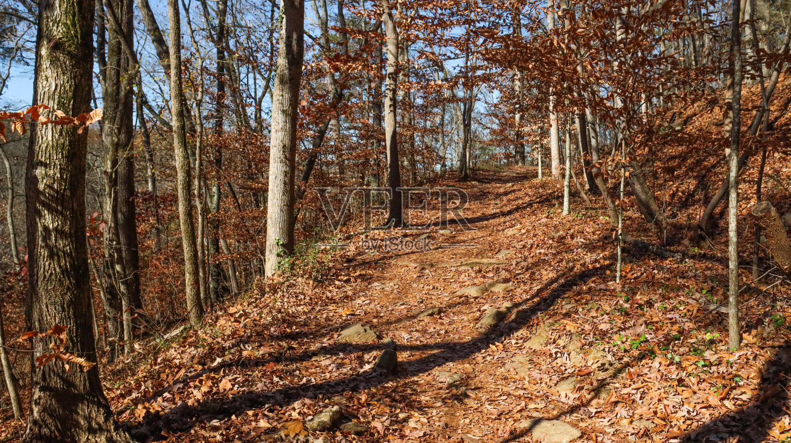 向上走照片摄影图片
