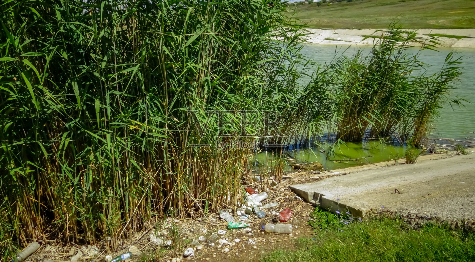 野生动物的塑料污染，垃圾和丙烯瓶在湖岸照片摄影图片