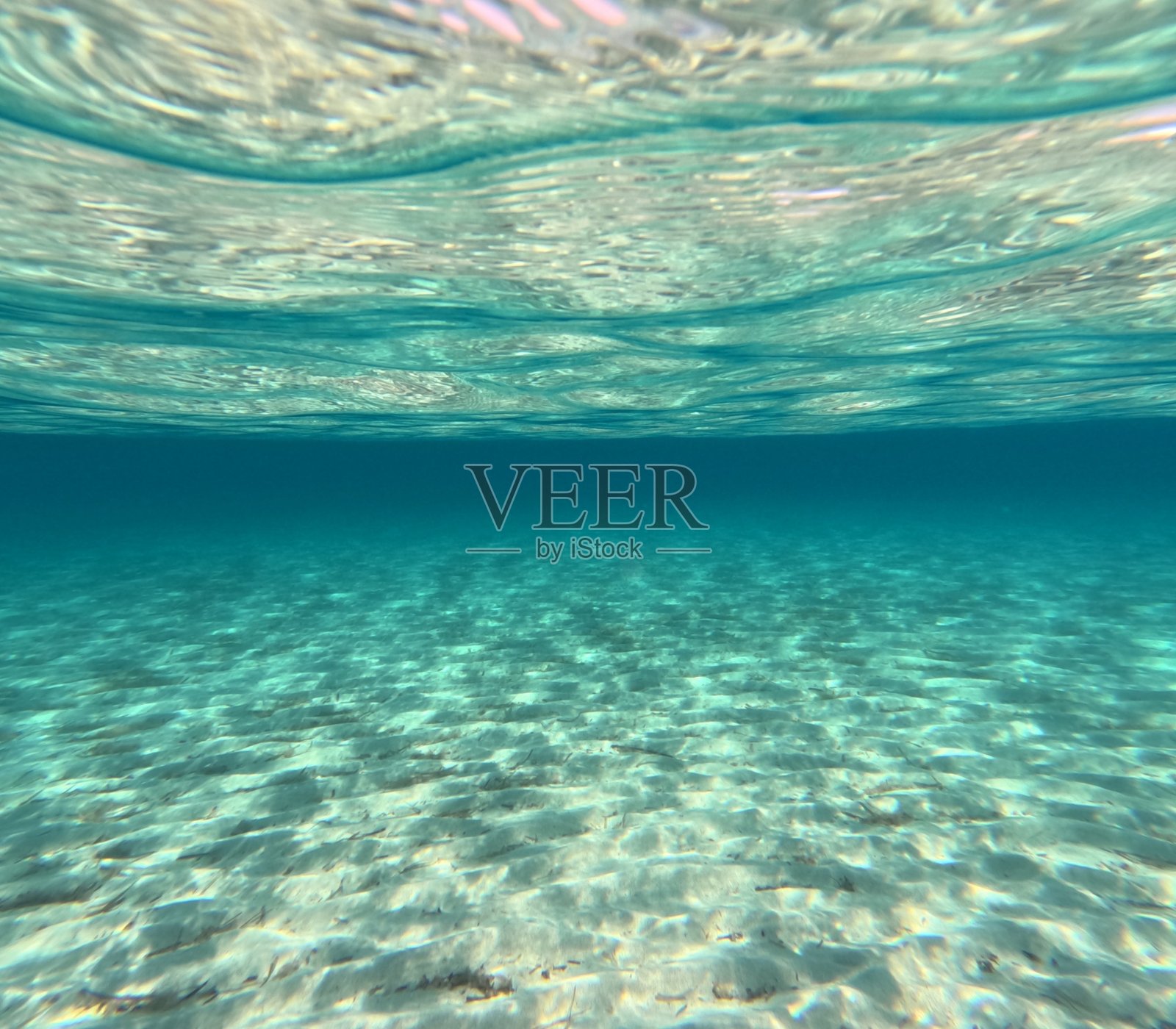 海照片摄影图片