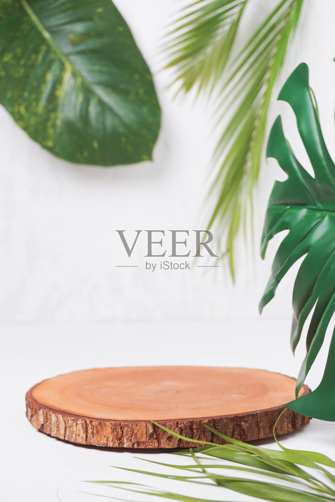 讲台上模型照片摄影图片